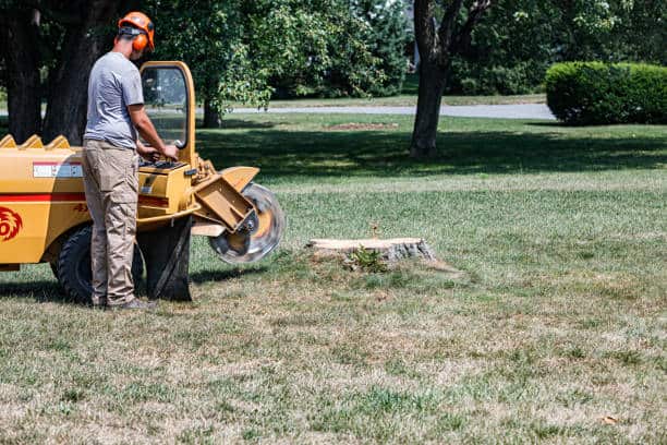 Lot clearing services Charlotte NC